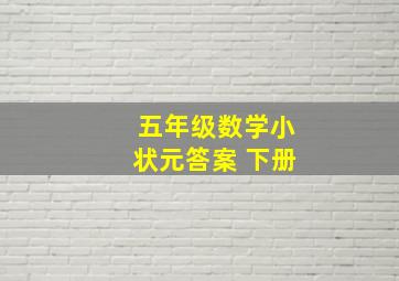 五年级数学小状元答案 下册